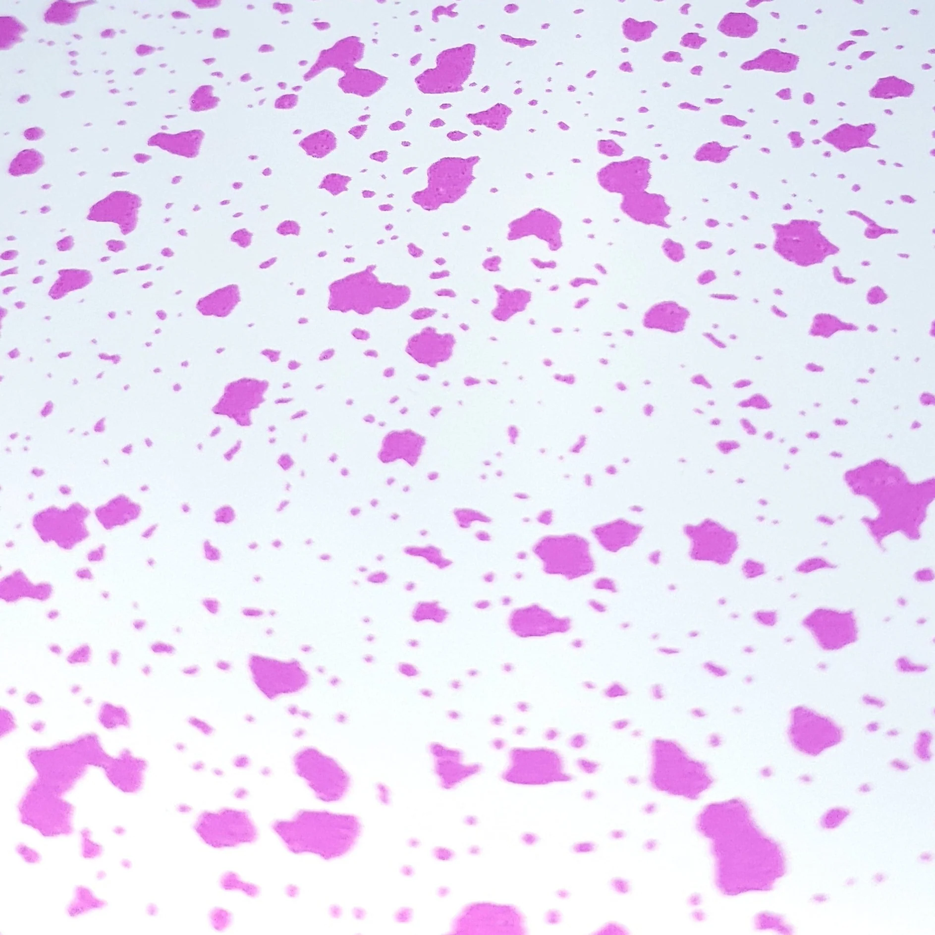Thumbnail 25