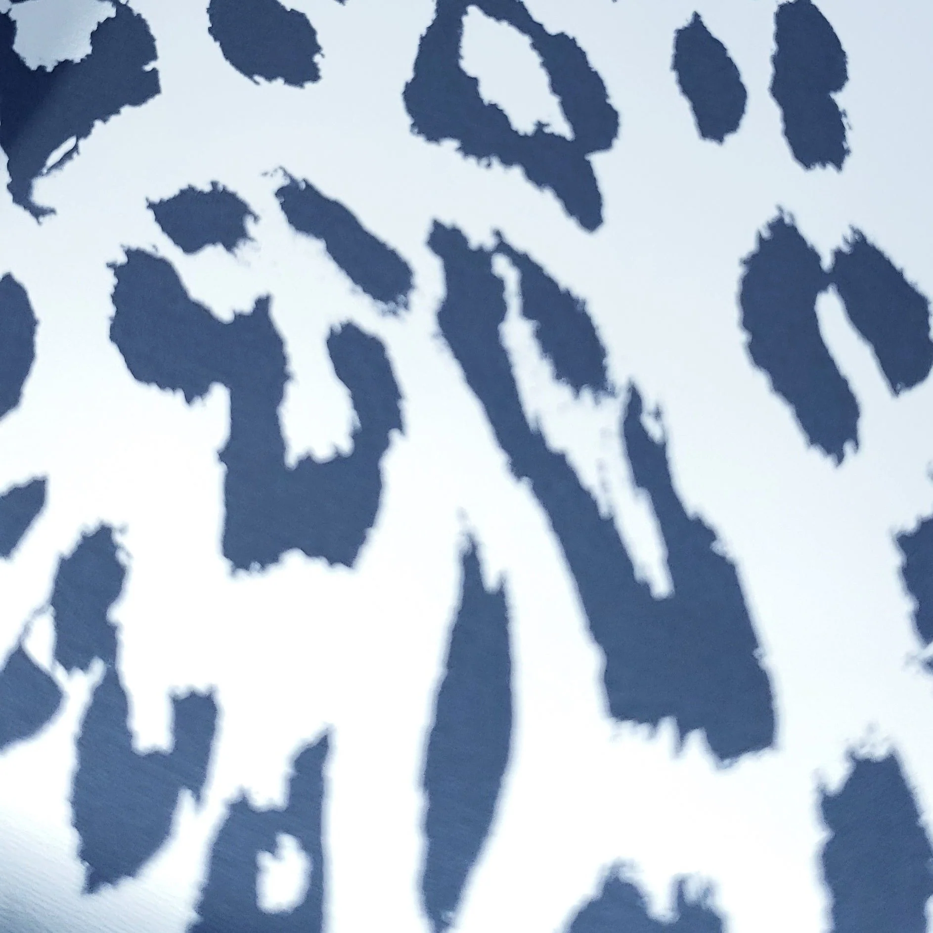 Thumbnail 13