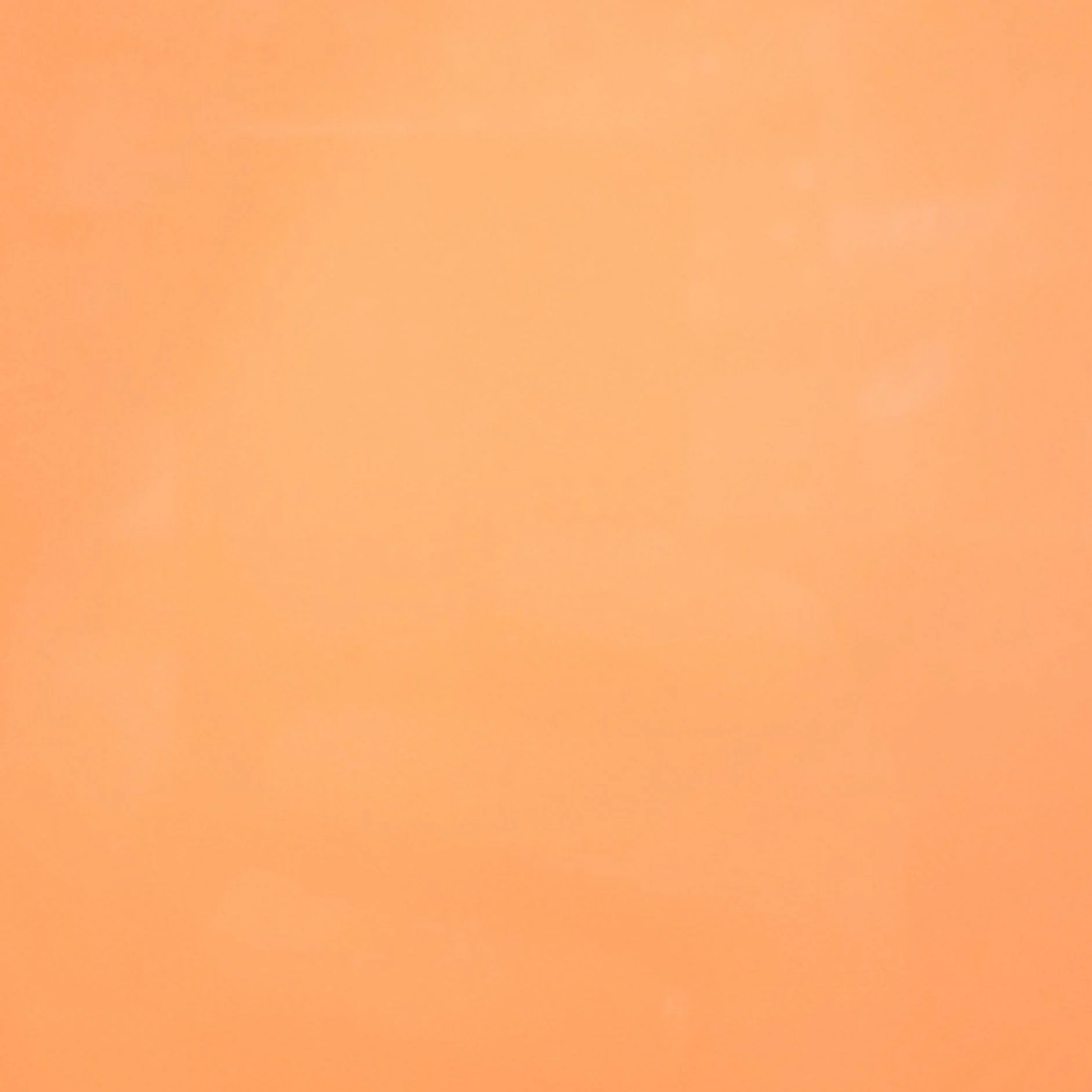 Thumbnail 17