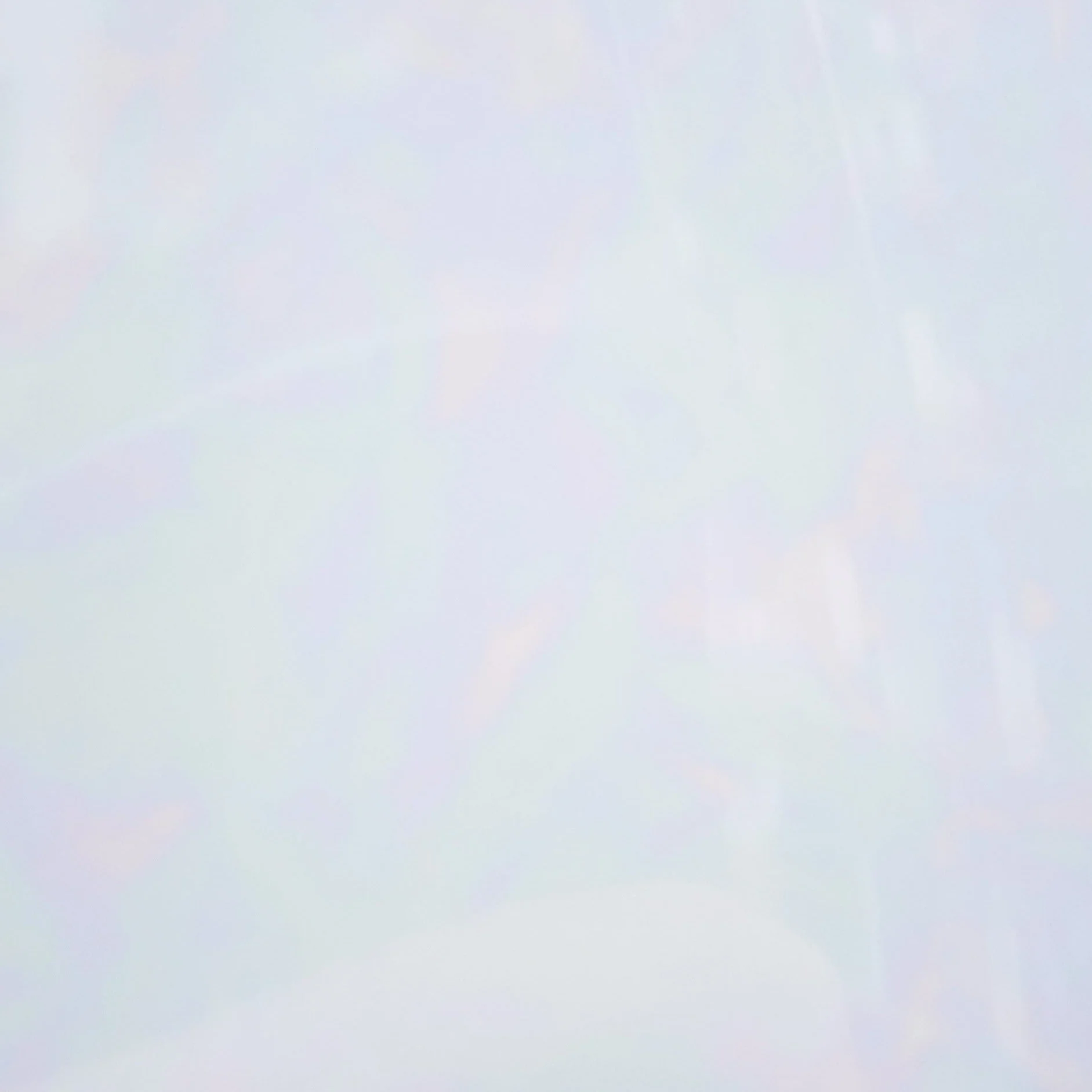 Thumbnail 19